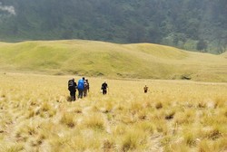 Cantiknya Oro-oro Ombo di Semeru