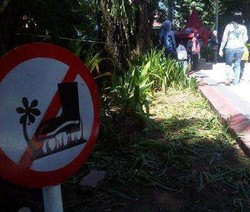 PT Unilever Klaim Bagi-bagi Es Krim Gratis di Jakarta Sukses