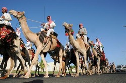 Antara Virus MERS dan Unta