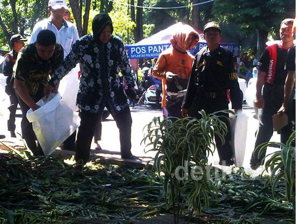 Risma Turun Tangan Bersihkan Taman Rusak