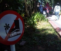 5 Ungkapan Marah Risma karena Taman Bungkul dan Jalur Hijau Rusak Parah