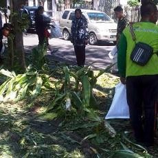 Sudah Kantongi Izin, Panitia Bagi-bagi Es Krim Gratis Siap Tanggung Jawab