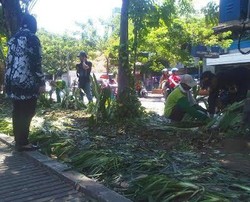 Dipolisikan Pemkot Surabaya soal Perusakan Taman, Ini Respons PT Unilever