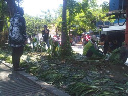 Seperti ini Kerusakan Taman Bungkul yang Bikin Risma Marah Besar