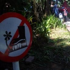 Risma Sebut Panitia Bagi-bagi Es Krim Gratis Tidak Punya Izin