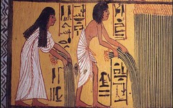 Tak Makan Daging dan Ikan, Orang Mesir Kuno Terbukti Vegetarian