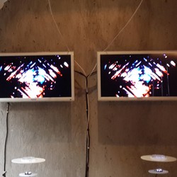 Hiii.. Jamur Lendir Bisa Keluarkan Suara