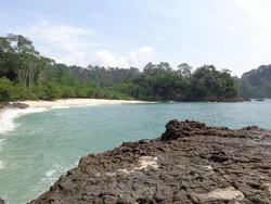 Teluk Hijau, Pantai Tersembunyi di Banyuwangi