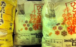 Berapa Harga Beras Basmati dan Koshihikari?