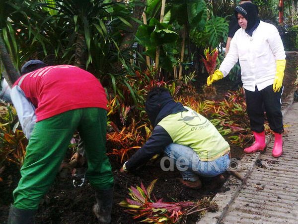 Risma Pantau Perbaikan Taman Bungkul