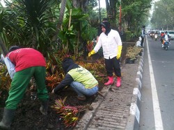 Panitia Sudah Minta Maaf, Apa Risma akan Tetap Mengajukan Tuntutan?