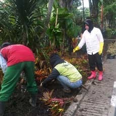 Pembenahan Taman yang Rusak Dikebut, Risma Pimpin Langsung