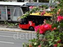 Mari Desak Pemerintah Agar Kita Punya Transportasi Massal yang Baik