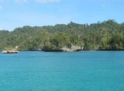 Cerita Anak Pedalaman Papua dan Nama Presiden Indonesia