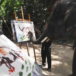 5 Gajah yang Berprofesi sebagai Pelukis