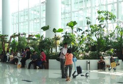 Hijaunya Bandara Baru Sepinggan Balikpapan