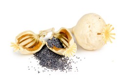 Pemilik Restoran di Shanghai Masuk Penjara karena Gunakan Poppy Seed