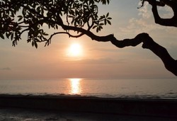 Pantai Senggigi yang Membuah Hati Ceria