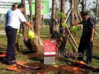 Penghijauan Taman Kota Waduk Pluit