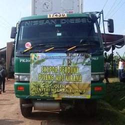Sukses di Singapura, Pisang Asal Subang Dilirik Konsumen Tiongkok