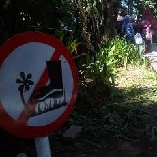 Polisi Kaji Pasal Kasus Rusaknya Taman Bungkul Saat Bagi-bagi Es Krim