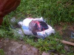 Ada Luka Bacok di Kepala Mayat Dalam Karung di Pondok Aren