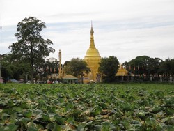 Pagoda Emas di Taman Alam Lumbini yang Ramai Saat Waisak