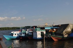 Serunya Menyusuri Sungai Kelay di TN Tanjung Puting