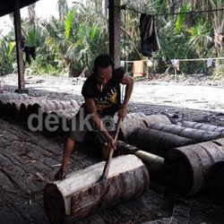 Potensi Sagu Terbesar Dunia Ada di Indonesia