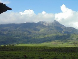 Suguhan Atraksi Wisata nan Lengkap di Sumatera Barat