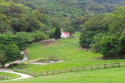 Flying Cow Ranch, Ketika Amerika Pindah ke Taiwan