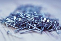 Bagi Pria Ini, Paku yang Masih Baru Rasanya Seperti Saus Salad