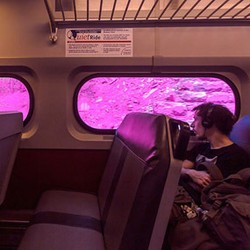 Uniknya, Lihat Instalasi dari Gerbong Kereta yang Bergerak