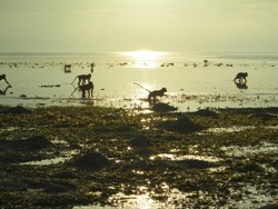 Libur Panjang, Saatnya Bertualang ke Afrika di Jawa Timur