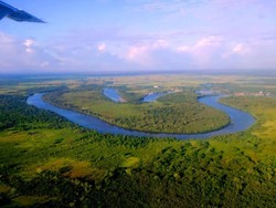 Amazon? Bukan, Ini Ketapang di Kalimantan Barat