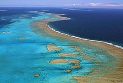 Taman Laut Terbesar di Dunia Diresmikan di New Caledonia