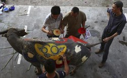Unik! Festival Melukis Tubuh Kerbau di China