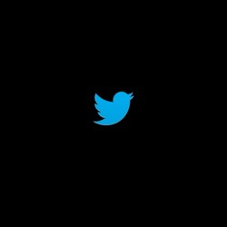 Menanti Diskusi Cerdas dari Para Buzzers Jokowi-JK dan Prabowo-Hatta di Twitter