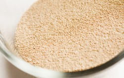 Ragi, Makluk Hidup yang Membuat Roti Empuk dan Wangi