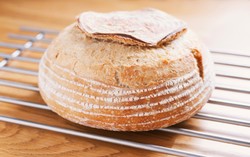 Pembuatan Roti dengan Sistem Biang