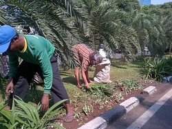 Puluhan Warga Menteng Rapikan Taman Kota yang Terinjak Massa Prabowo-Hatta