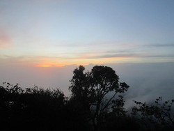 Indahnya Hamparan Awan dari Gunung Cikuray