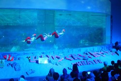 Jatuh Hati dengan Putri Duyung Cantik di Ancol