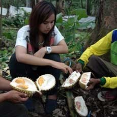 Galakkan Buah Lokal, Banyuwangi Bikin Kemasan Menarik Manggis Hingga Melon