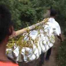 Sebulan Tertimbun Longsor, Jasad Pencari Rumput Ditemukan Utuh