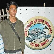 Cerita Penyelamat Penyu di Pantai Boom Banyuwangi