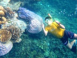 Yang Seru Saat Liburan ke Pantai: Snorkeling!