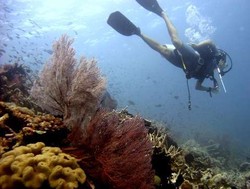 10 Tempat Snorkeling Favorit di Indonesia (2)