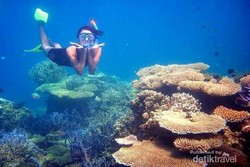 6 Spot Snorkeling di Indonesia Favorit Traveler