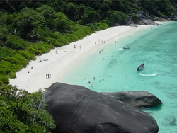 Phi Phi Island & 5 Spot Snorkeling Paling Top di Thailand